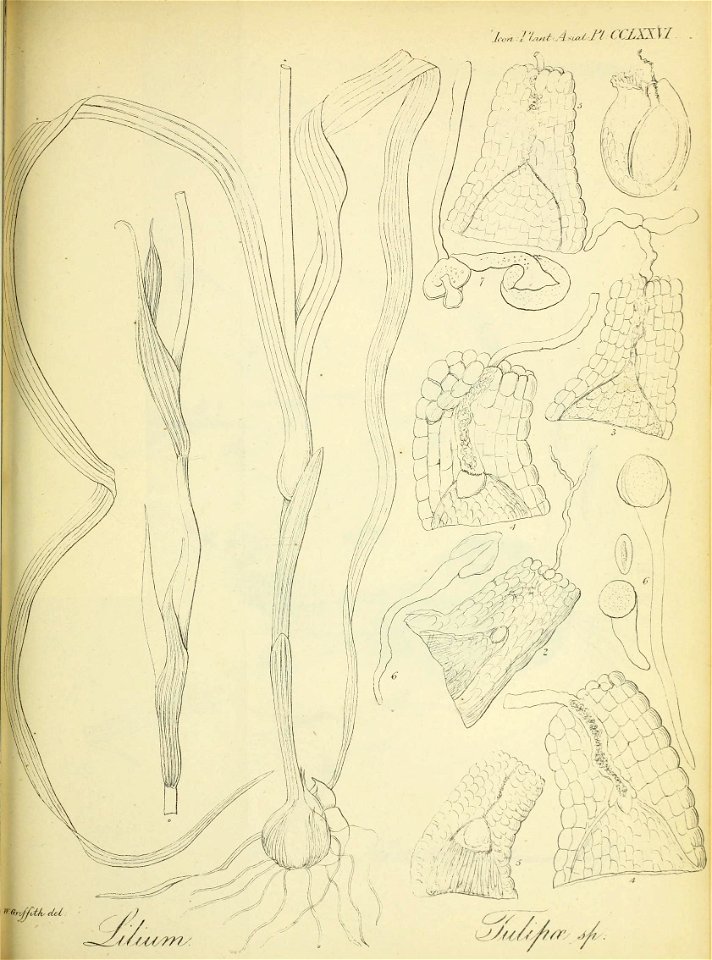 n162_w1150