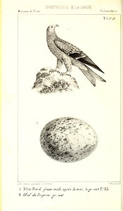 n153_w1150