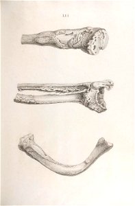 n276_w1150