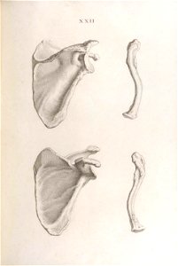 n216_w1150