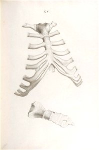 n204_w1150