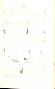 n114_w1150