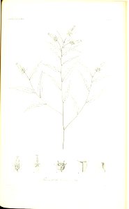 n142_w1150