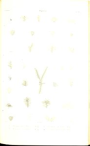 n110_w1150