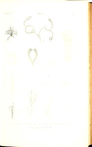 n78_w1150