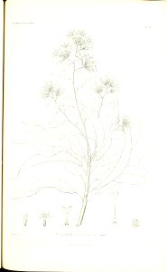 n258_w1150