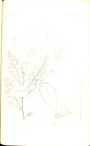 n198_w1150