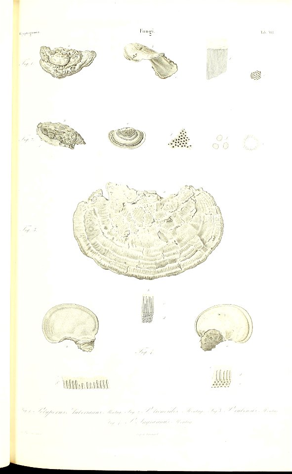 n106_w1150