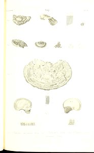 n106_w1150
