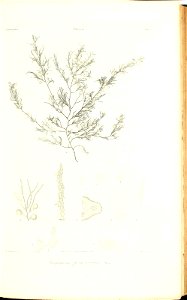 n76_w1150