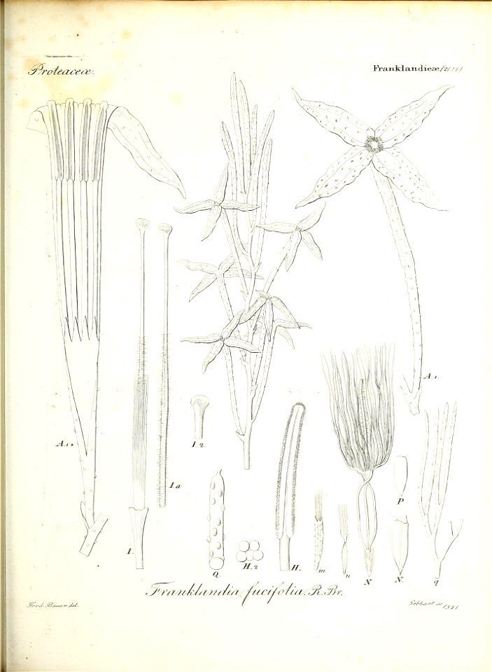 n122_w1150