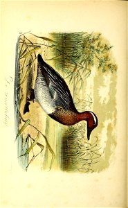 n407_w1150