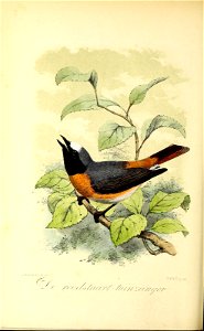 n159_w1150