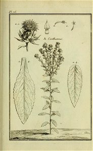 n266_w1150