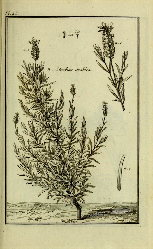 n206_w1150