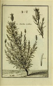 n206_w1150