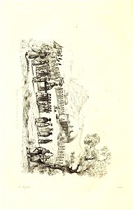 n307_w1150