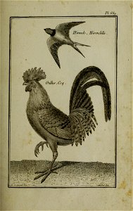 n202_w1150