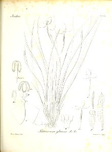 n118_w1150