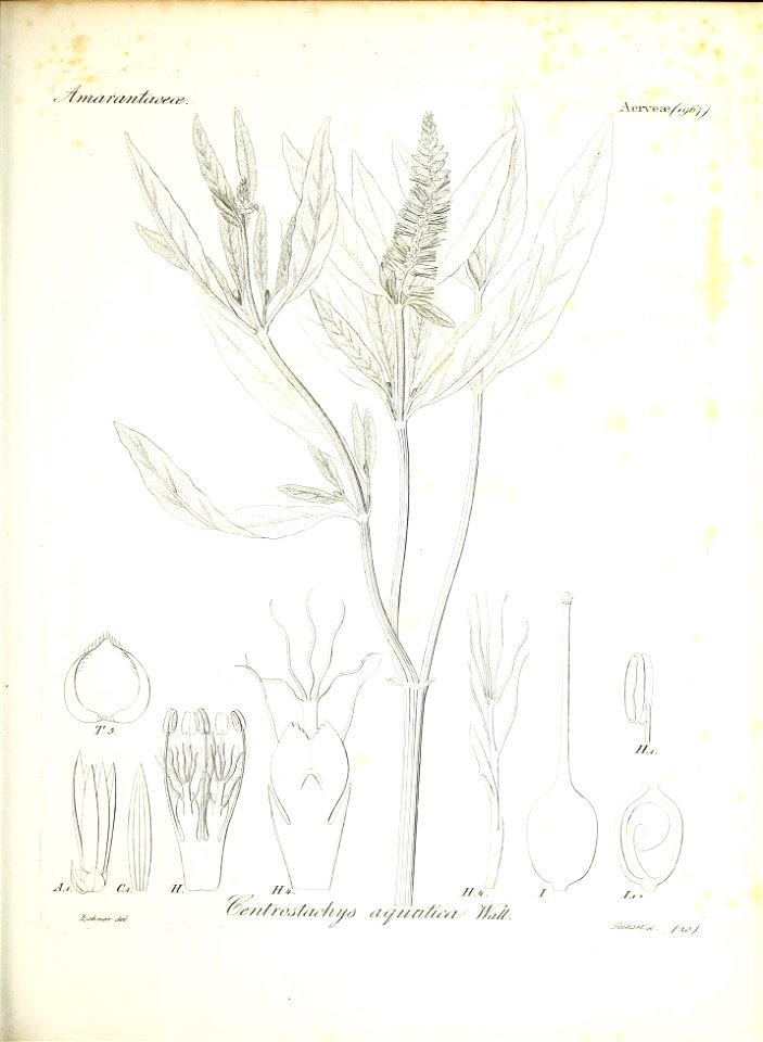 n58_w1150