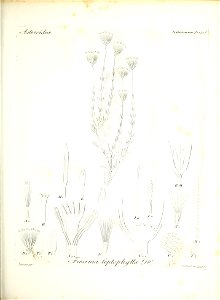 n88_w1150
