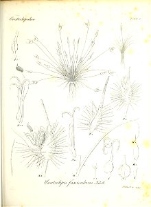 n116_w1150