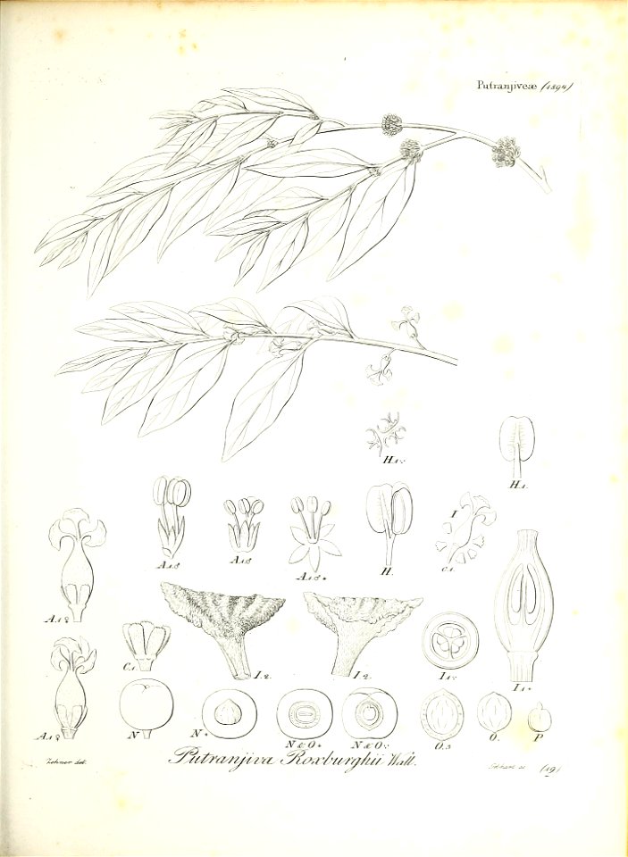 n56_w1150