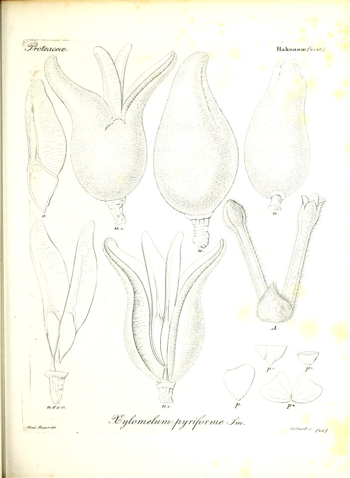 n114_w1150