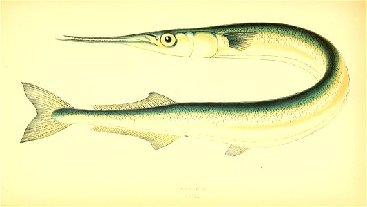 n216_w1150