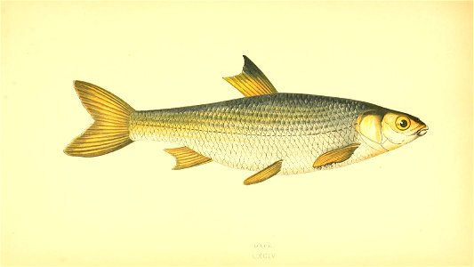 n92_w1150