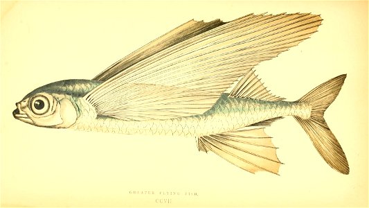 n194_w1150