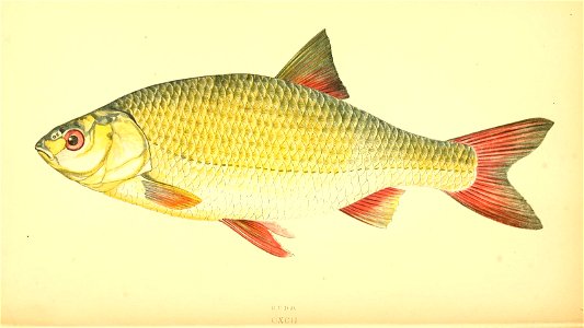 n83_w1150