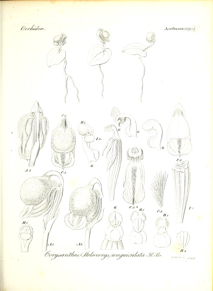 n54_w1150