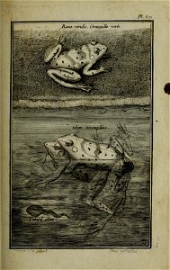 n166_w1150