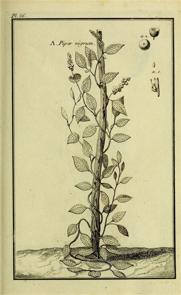 n228_w1150