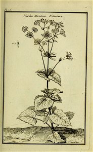 n168_w1150