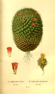 n123_w1150