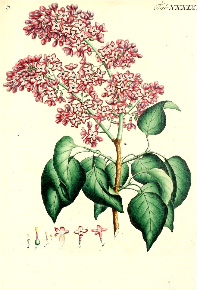 n598_w1150