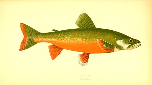 n362_w1150