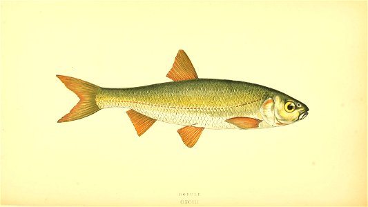 n87_w1150