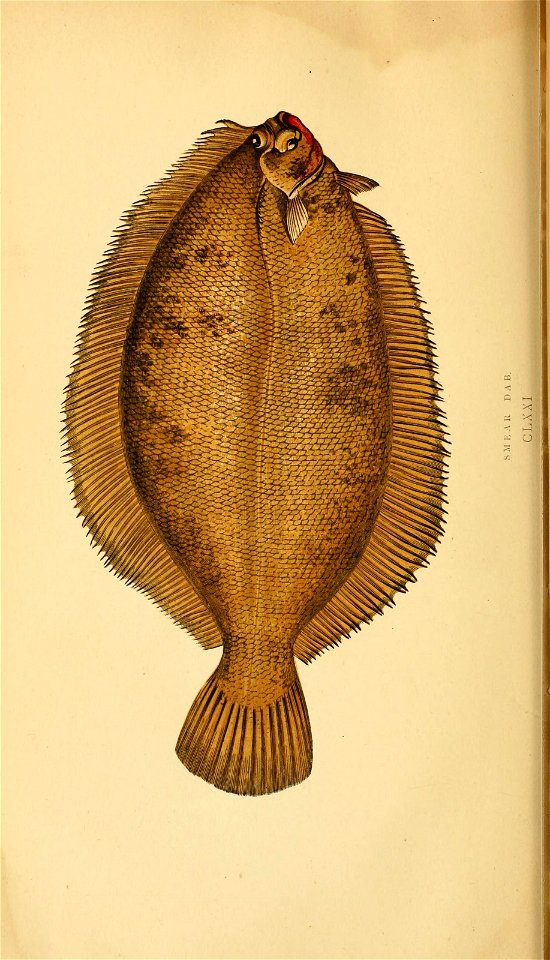 n296_w1150