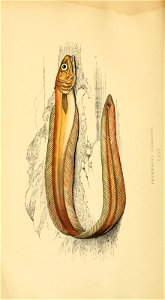 n213_w1150