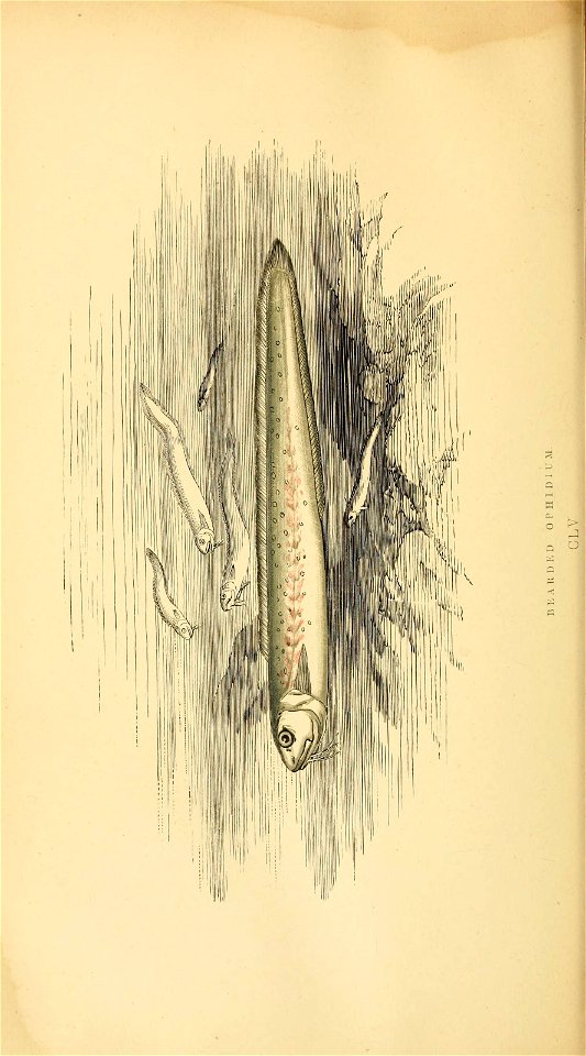 n209_w1150