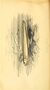 n209_w1150
