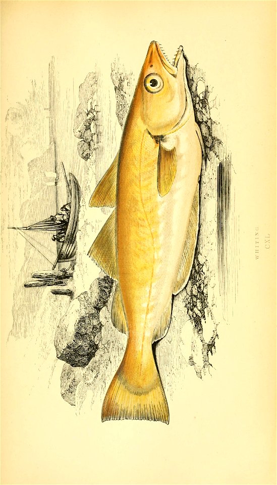 n122_w1150