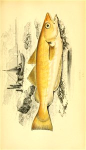 n122_w1150
