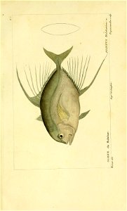 n220_w1150