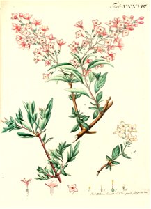 n596_w1150
