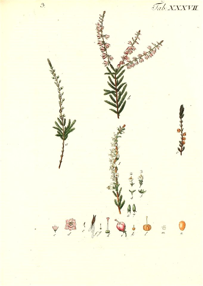n594_w1150