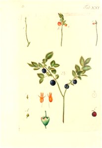 n562_w1150
